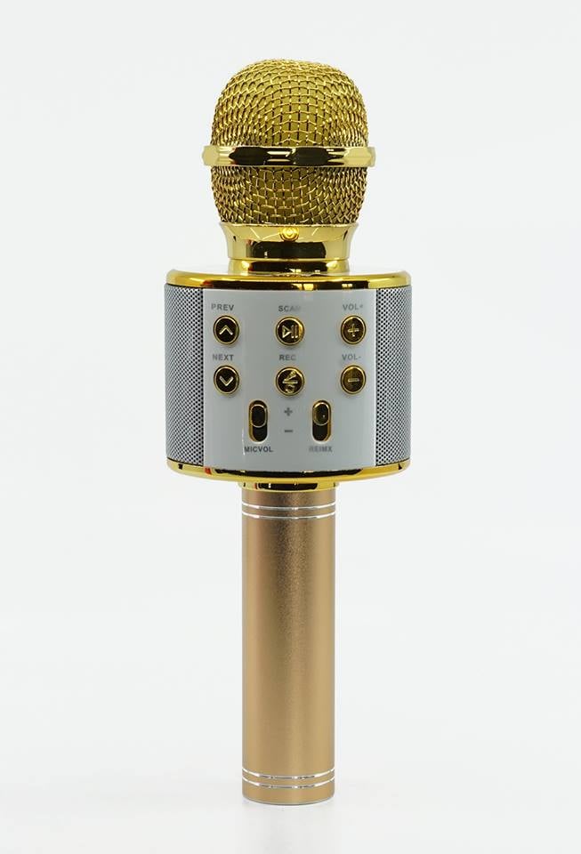 Karaoke mikrofon z bluetooth